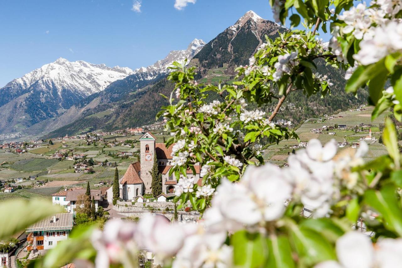 Hotel Mitterplatt Schenna Dış mekan fotoğraf
